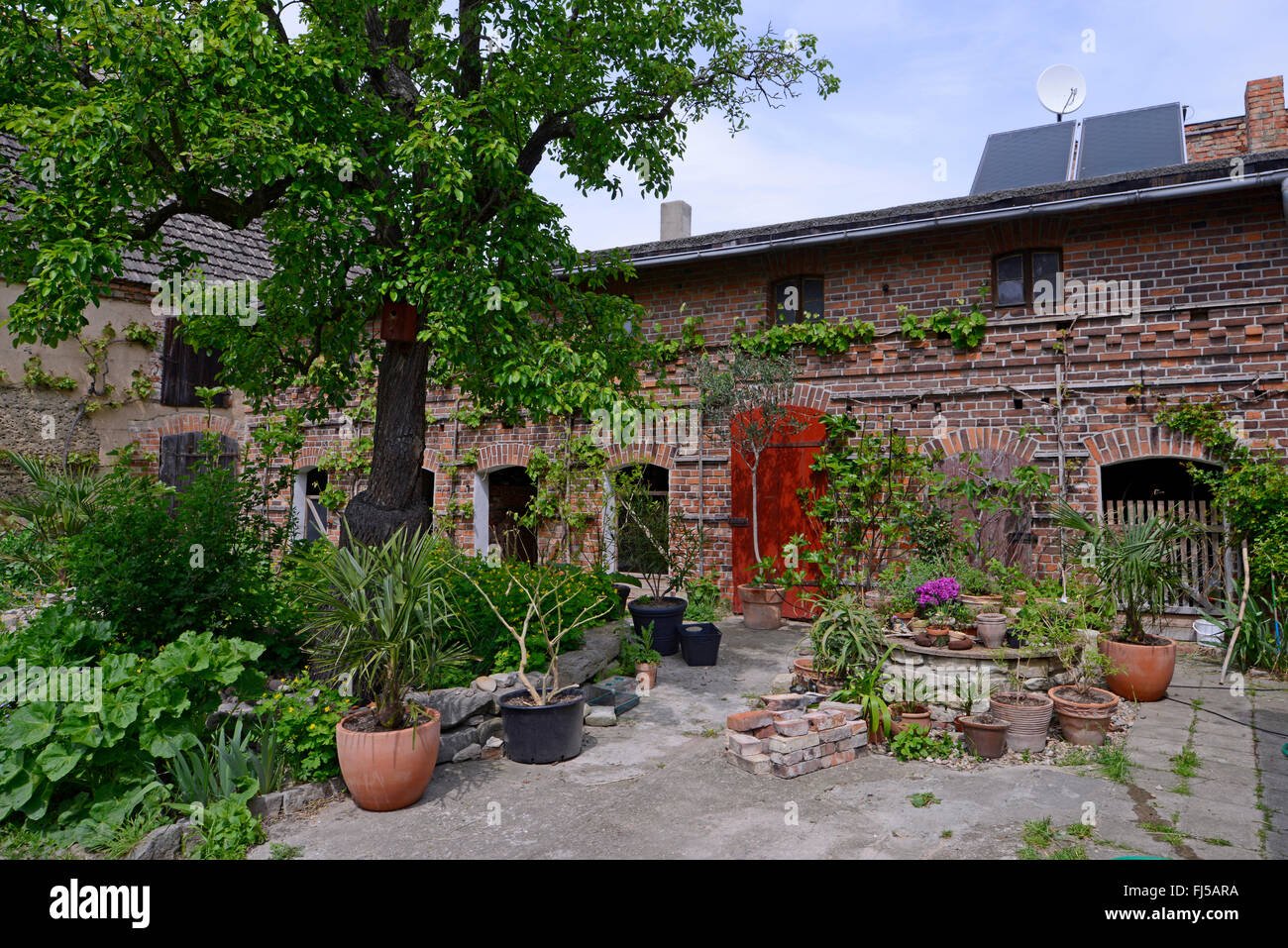 Garten im Hof eines alten Bauernhauses, Diebzig, Osternienburger Land, Sachsen-Anhalt, Deutschland Stockfoto