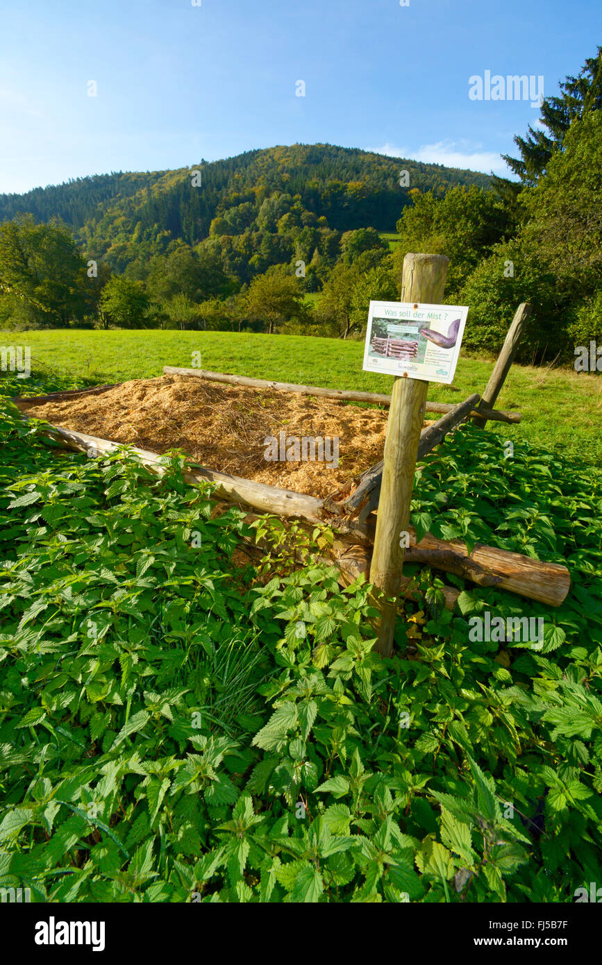 Aesculapian Schlange (bieten Longissima, Zamenis Longissimus) nisten Beihilfen für die Aesculapian Schlange, Deutschland, Odenwald, Hirschhorn am Neckar Stockfoto