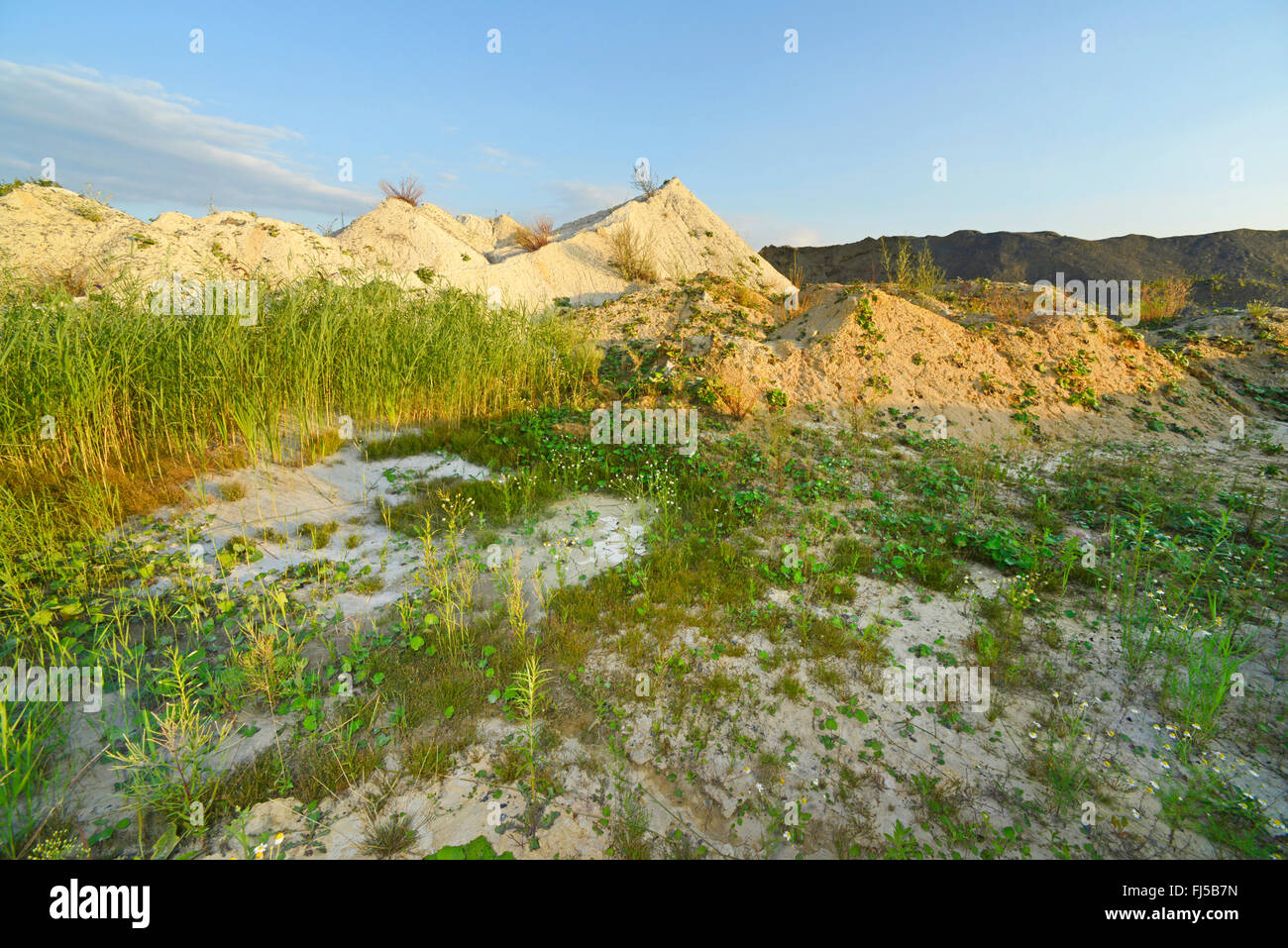 Sandhaufen in einem Kalk-Steinbruch, Bergisches Land, Steinbruch Osterholz, Dornap, Deutschland, Wuppertal Stockfoto
