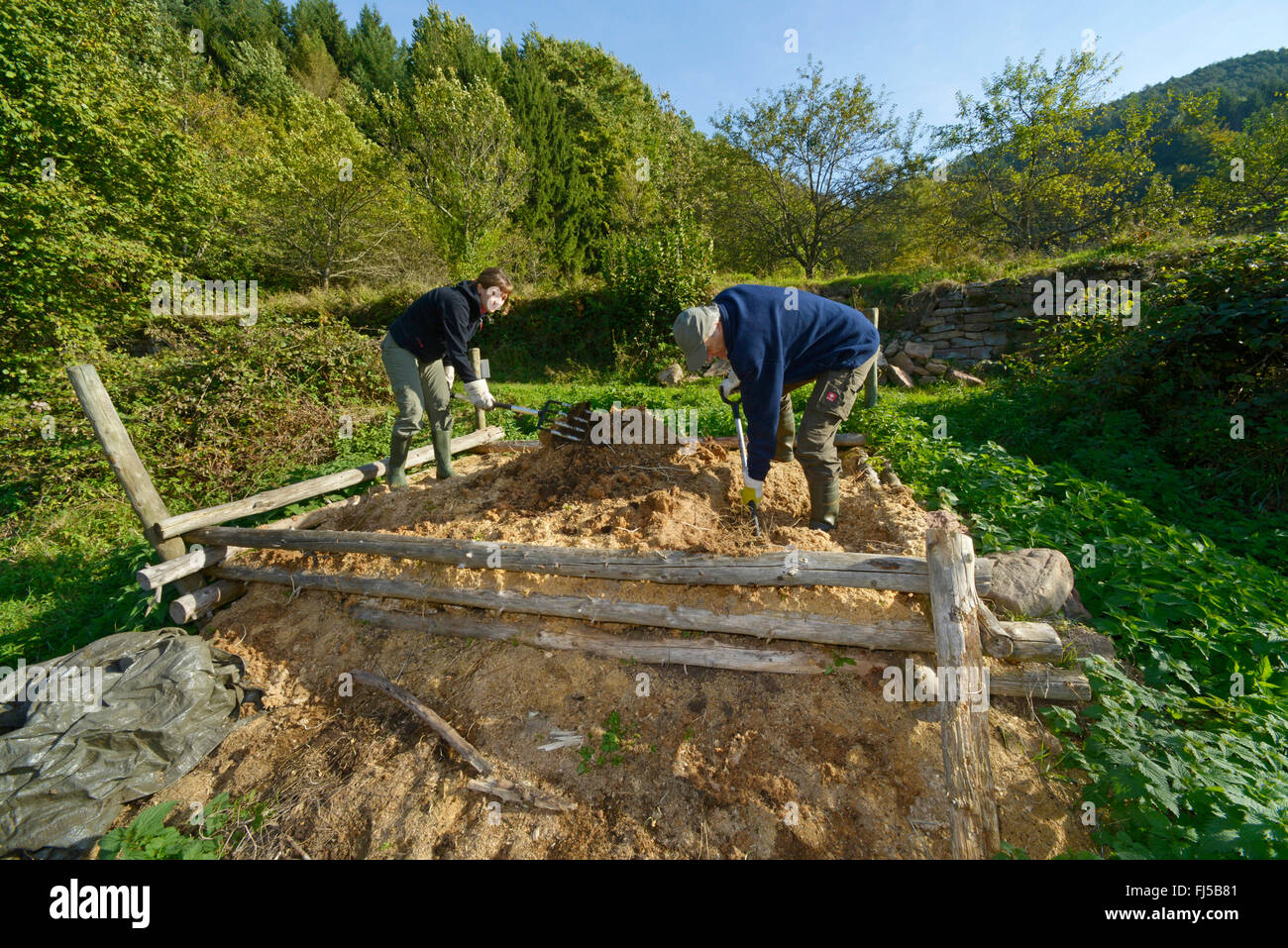 Aesculapian Schlange (bieten Longissima, Zamenis Longissimus), Naturschützer, die auf der Suche nach Hilfe für die Aesculapian Schlange, Deutschland, Odenwald nisten, Hirschhorn am Neckar Stockfoto