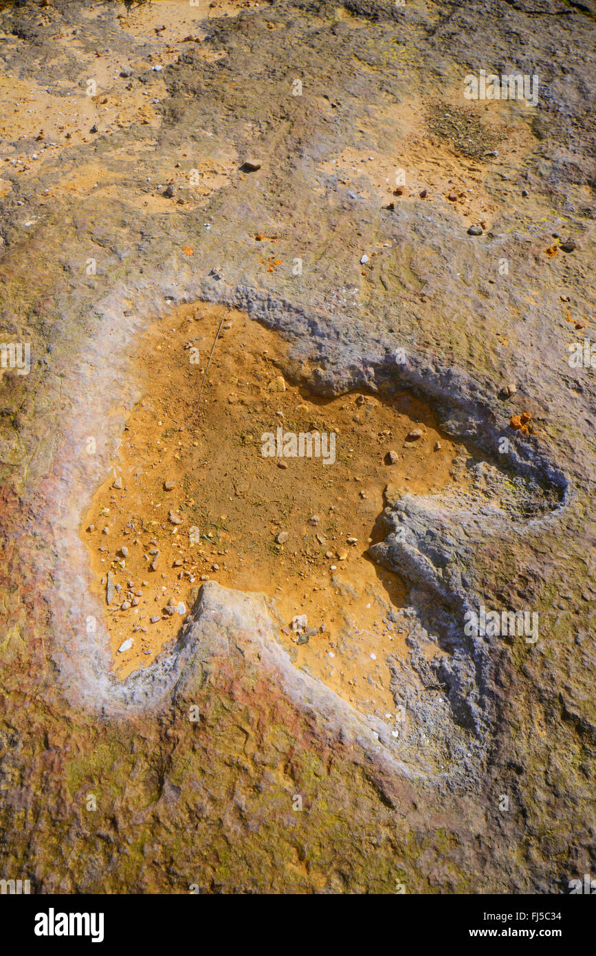 versteinerter Fußabdruck eines Dinosauriers auf Sandstein, Deutschland, Niedersachsen, Obernkirchen Obernkirchener Sandsteinbrueche Stockfoto