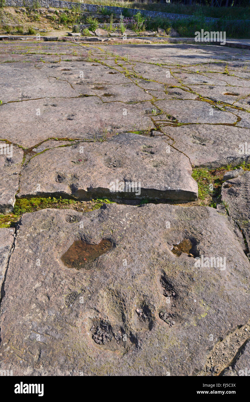 Dinosaurier-Fußspuren auf Sandstein, Deutschland, Niedersachsen, Obernkirchen Obernkirchener Sandsteinbrueche Stockfoto