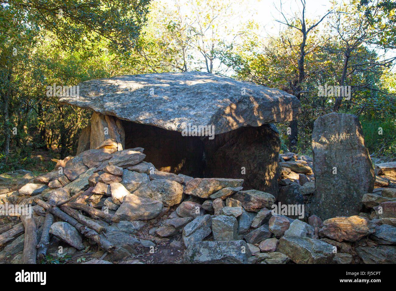Eine neolithische Grabkammer (Dolmen) in der Nähe des Berges Puig Neulós in Südfrankreich. Stockfoto