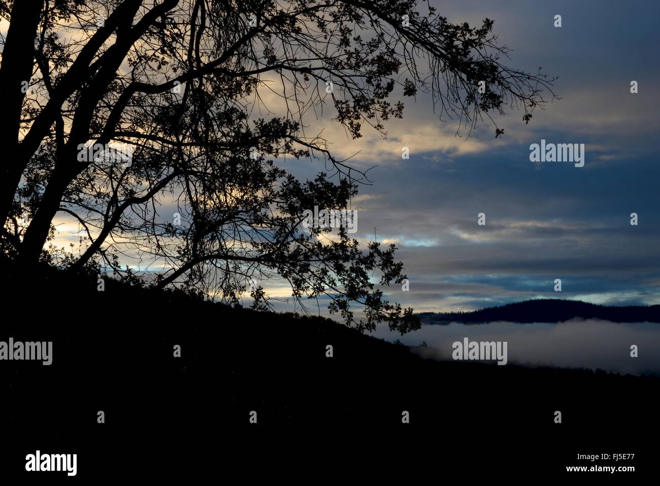 Sunrise, außen Oakhurst Sierra National Forest, Kalifornien Stockfoto