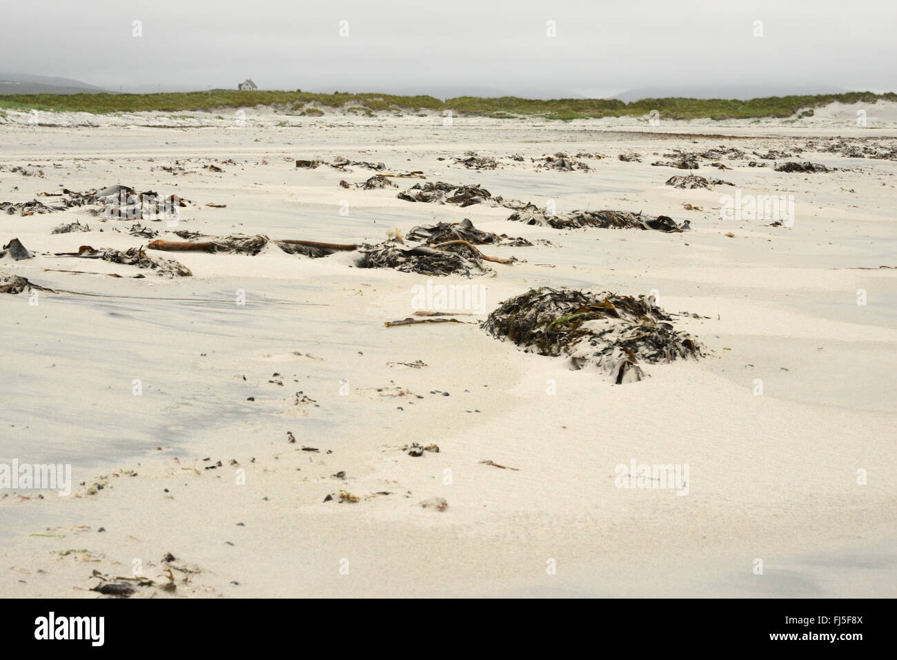 Der Strand von Askernish auf einem grauen und windigen Tag. Ein einzelnes Haus am Horizont hinter den Dünen. South Uist, Äußere Hebriden, Schottland Stockfoto