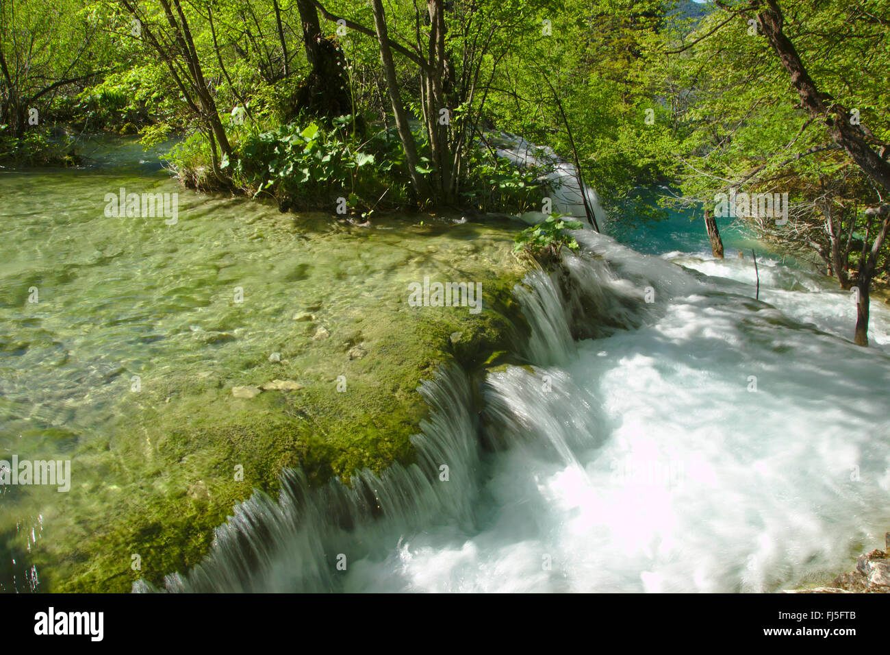 Wasserfall im Nationalpark Plitvicer Seen, Kroatien, Nationalpark Plitvicer Seen Stockfoto