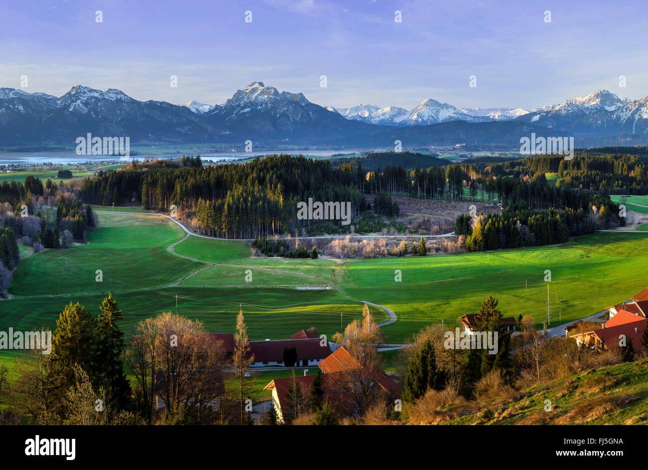 Blick vom Zwieselberg zum Forggensee See und Tannheimer Berge, Deutschland, Bayern, Oberbayern, Oberbayern, Allgäu Stockfoto