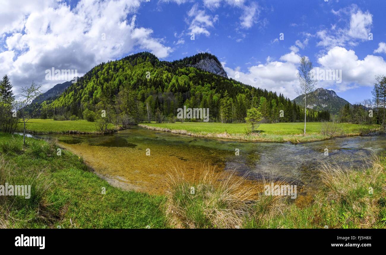 Ammer Federn in den Ammergauer Alpen, Deutschland, Bayern, Oberbayern, Oberbayern Stockfoto