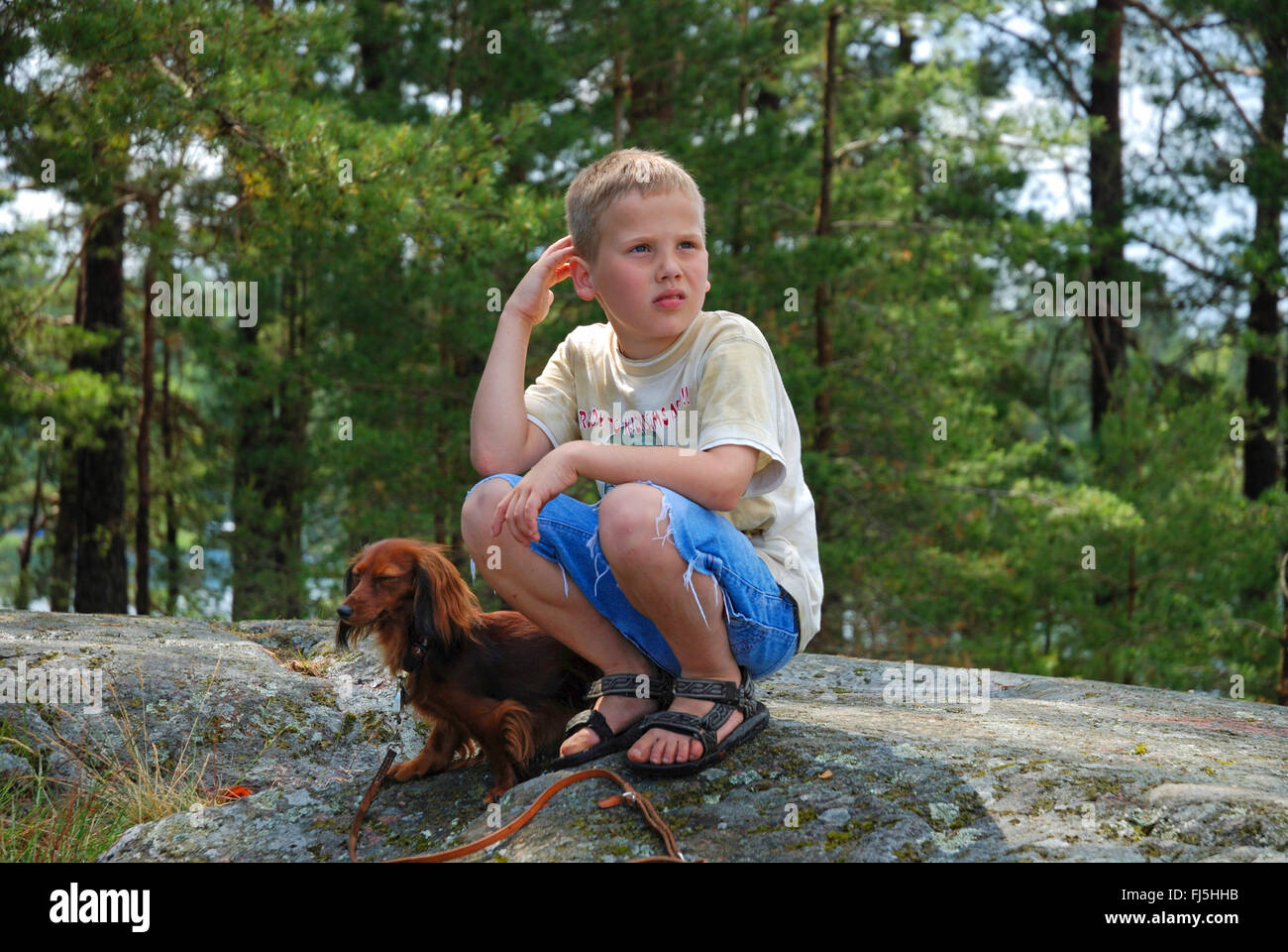 Langhaar Dackel Langhaar Dackel, Haushund (Canis Lupus F. Familiaris), neun Jahre alter Junge mit Dackel auf einer Schäre, Porträt eines Kindes, Schweden, Smaland, Loftahammer Stockfoto