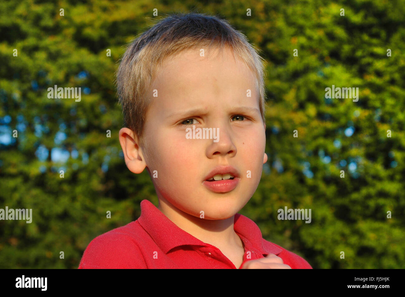 acht Jahre alter Junge, Porträt eines Kindes Stockfoto