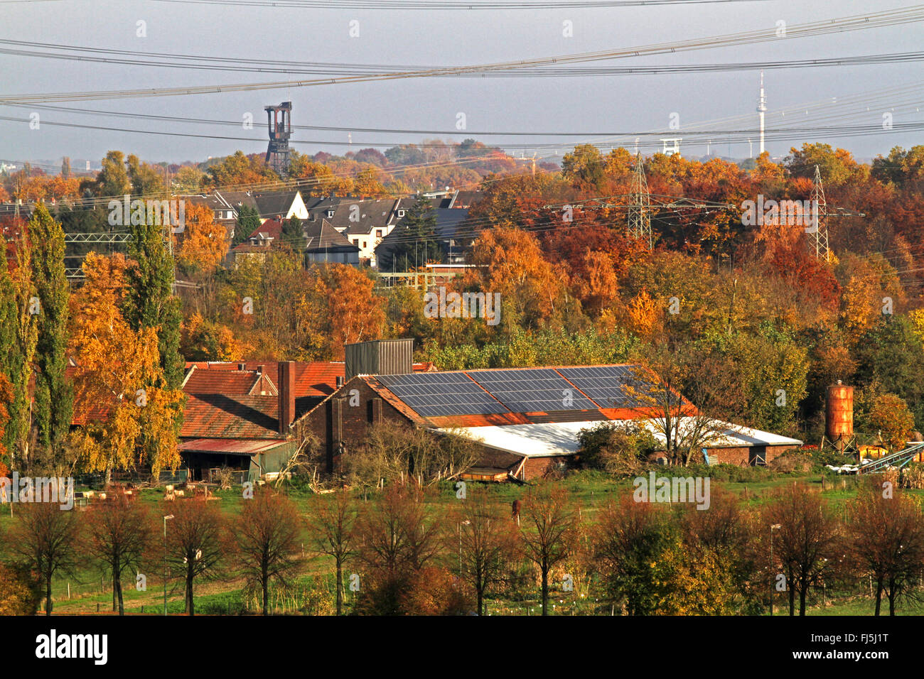 Stromleitungen und Bauernhaus mit Solardach im Herbst, Deutschland, Nordrhein-Westfalen, Ruhrgebiet Stockfoto