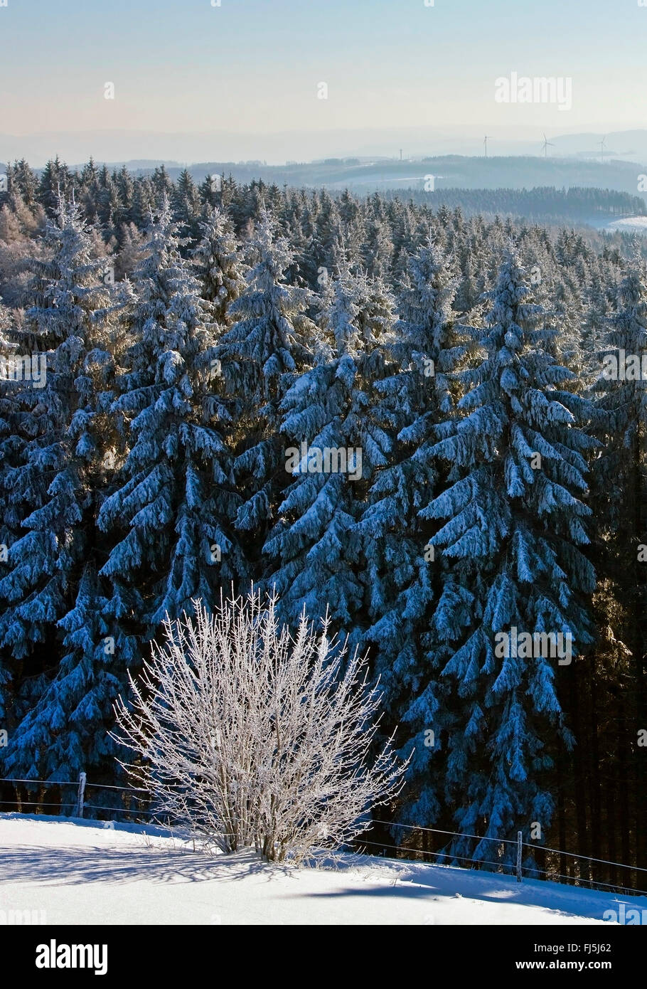 verschneite Landschaft von Wildewiese, Deutschland, Nordrhein-Westfalen, Sauerland, Sundern Stockfoto