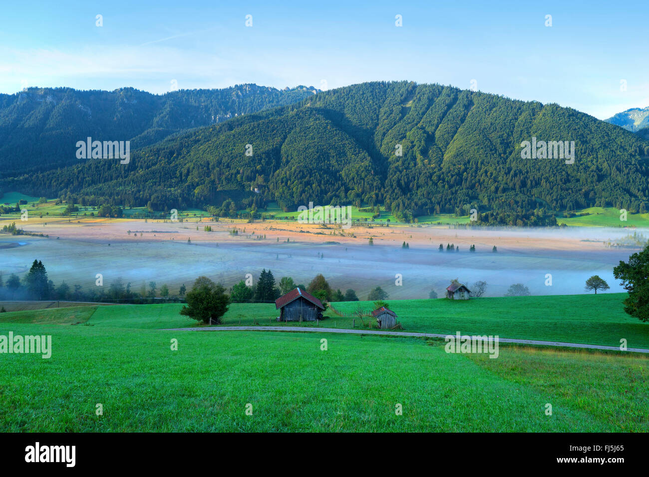 Blick über die Wiesen von Unterammergau Witn Morgennebel und Blick auf die Ammergauer Alpen, Deutschland, Bayern, Oberbayern, Oberbayern Stockfoto