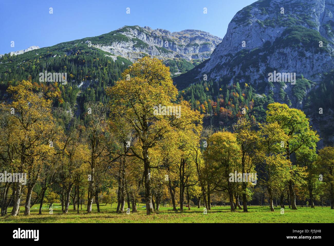 Grosser Ahornboden und Karwendel-Gebirge in Herbst, Österreich, Tirol Stockfoto