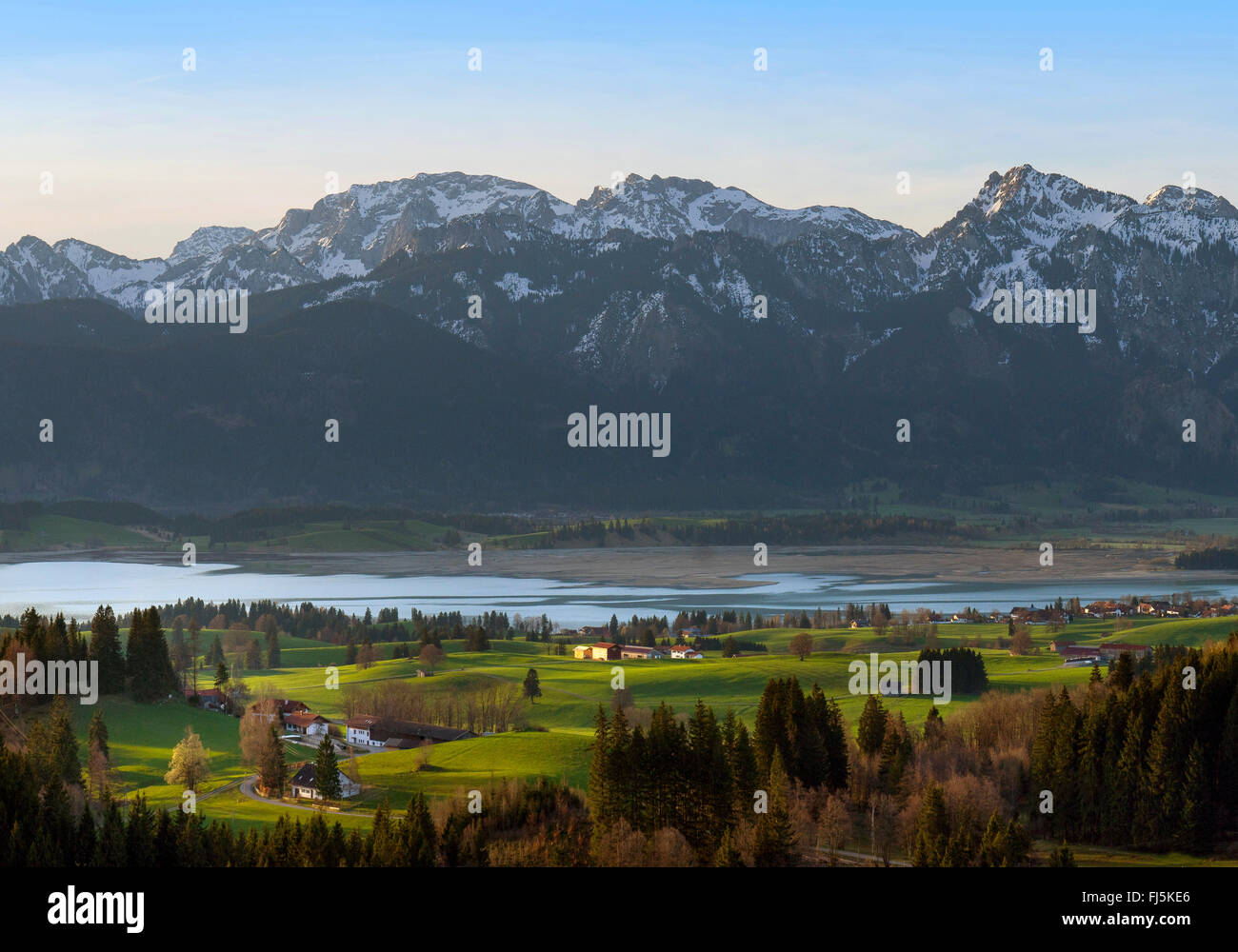 Blick vom Zwieselberg zum Forggensee See und Tannheimer Berge, Deutschland, Bayern, Oberbayern, Oberbayern, Allgäu Stockfoto