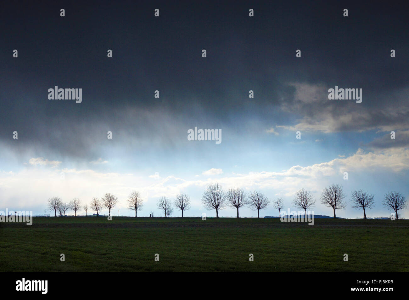 nahenden Gewitter über Feld Landschaft und Gasse, Deutschland, Sachsen, Jocketa Stockfoto