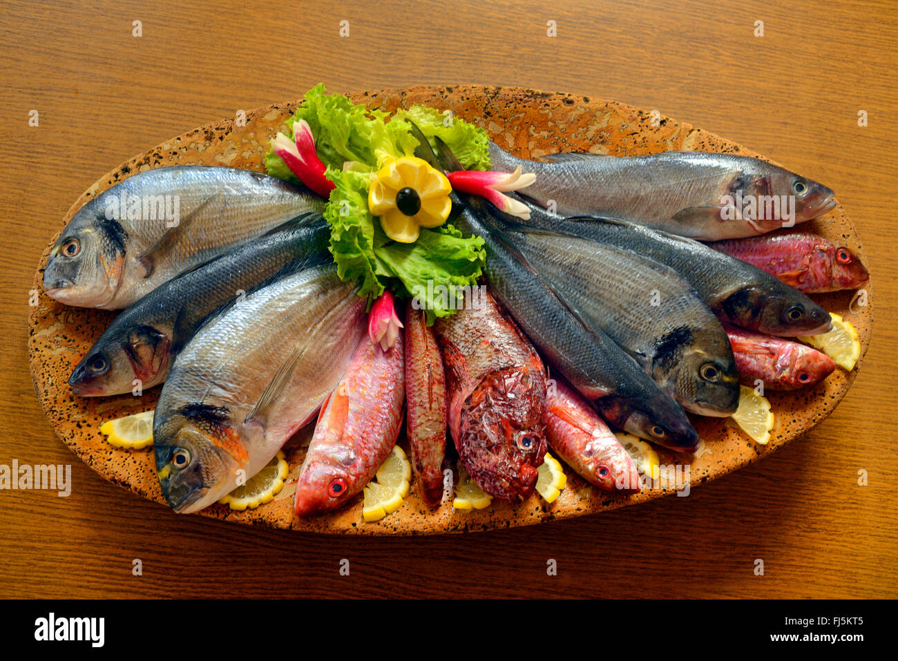 Fischplatte, Auswahl an frischen Fisch auf einem Teller, Hyeres, Frankreich, Provence Stockfoto