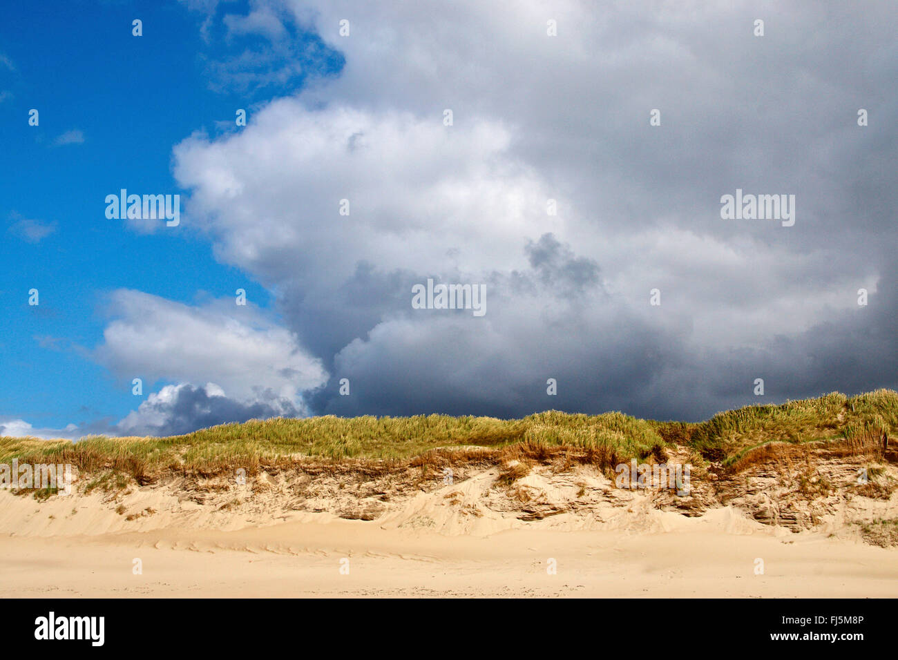 sekundäre Düne, Dänemark, Nationalpark Thy Stockfoto