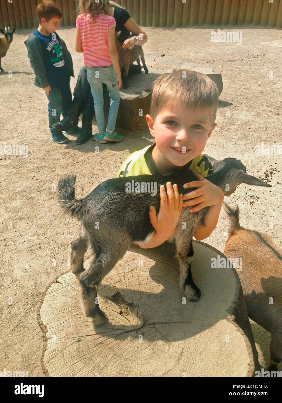 junge umarmt eine Ziege in einem Streichelzoo, Deutschland Stockfoto
