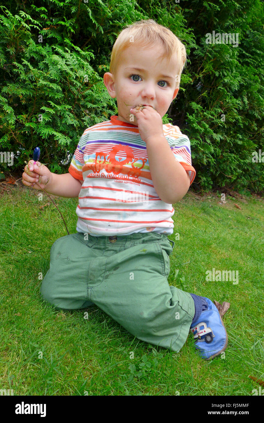 kleiner Junge kniend auf einer Wiese Stockfoto