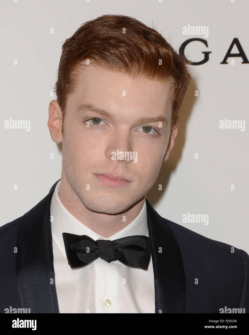 West Hollywood, CA, USA. 29. Februar 2016. 28. Februar 2016 - West Hollywood, Kalifornien - Cameron Monaghan. 24. jährliche Elton John Academy Awards Viewing Party gesponsert von Bvlgari, MAC Cosmetics, Neuro-Getränke und Diana Jenkins am West Hollywood Park gehalten. Bildnachweis: Birdie Thompson/AdMedia © Birdie Thompson/AdMedia/ZUMA Draht/Alamy Live-Nachrichten Stockfoto