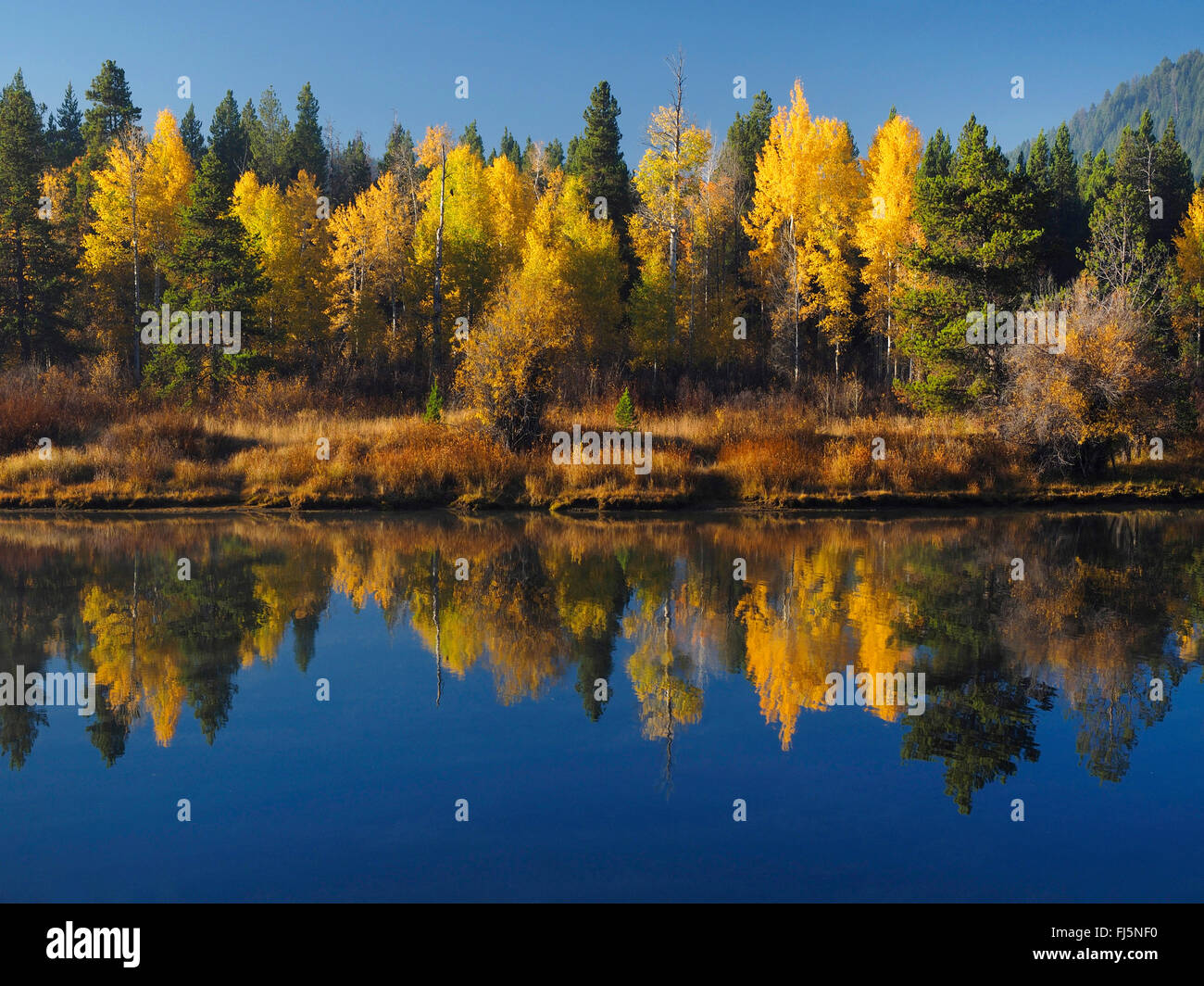 Herbststimmung am Jackson Lake, USA, Wyoming, Grand-Teton-Nationalpark Stockfoto