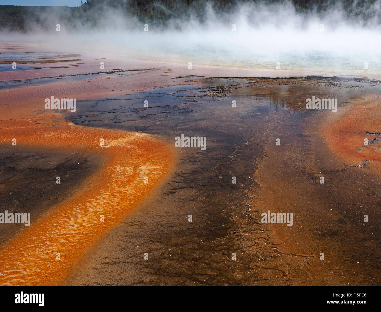 Grand Prismatic Spring, Midway Geyser Basin, USA, Wyoming, Yellowstone-Nationalpark Stockfoto