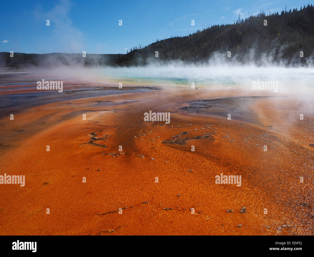 Grand Prismatic Spring, Midway Geyser Basin, USA, Wyoming, Yellowstone-Nationalpark Stockfoto