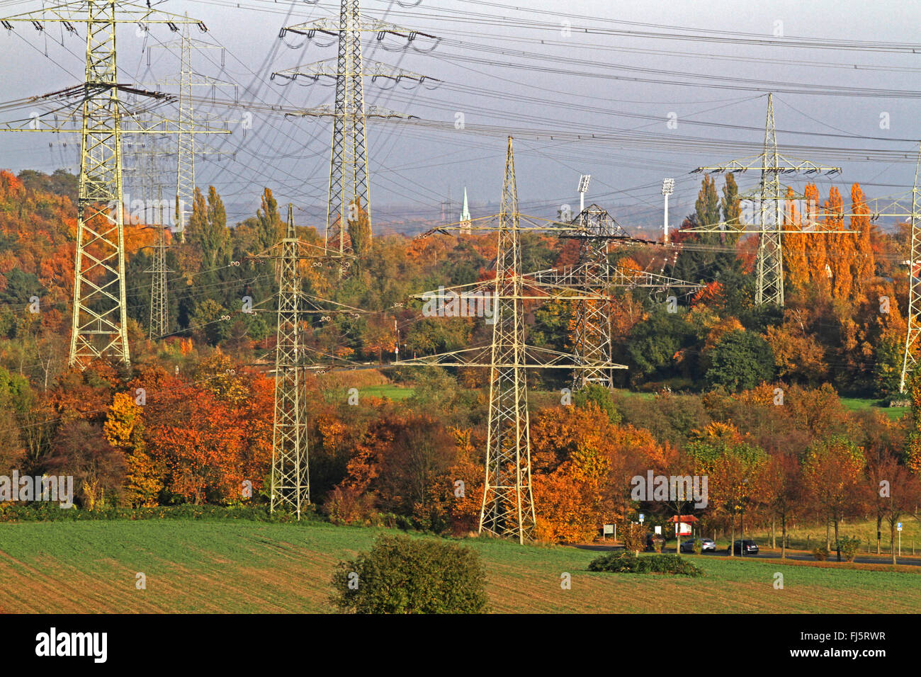 Strommasten in landwirtschaftlichen Landschaft im Herbst, Deutschland, Nordrhein-Westfalen Stockfoto
