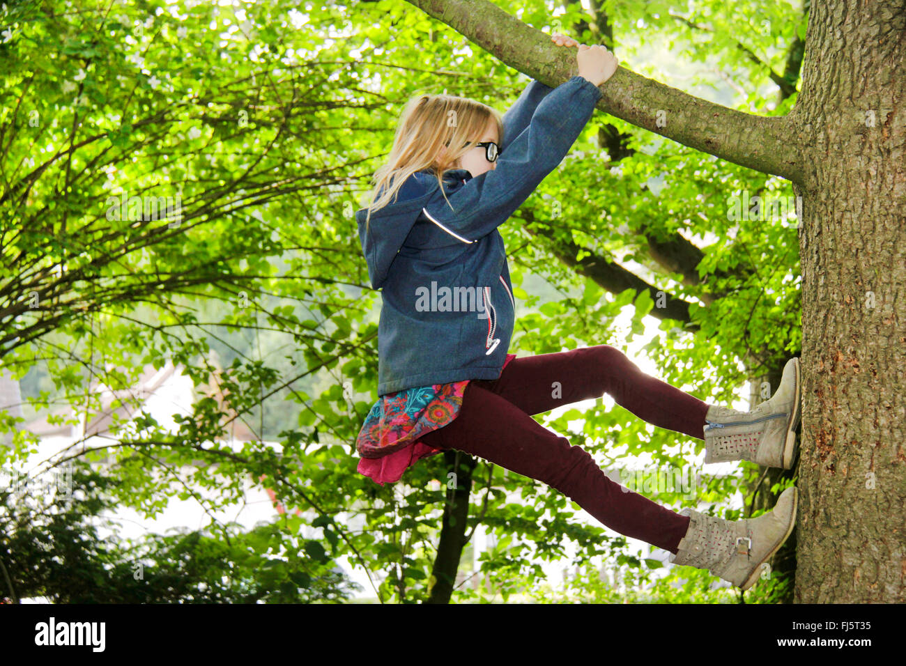 mutige Mädchen Klettern auf einen Baum, Deutschland Stockfoto