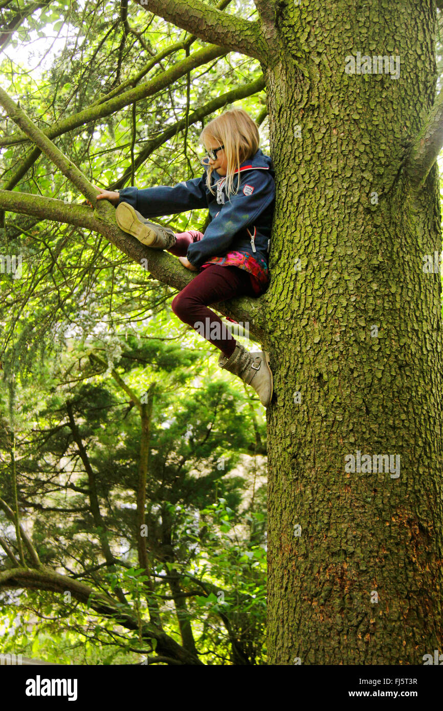 mutige Mädchen sitzt auf einem Ast an einem Baum, Deutschland Stockfoto