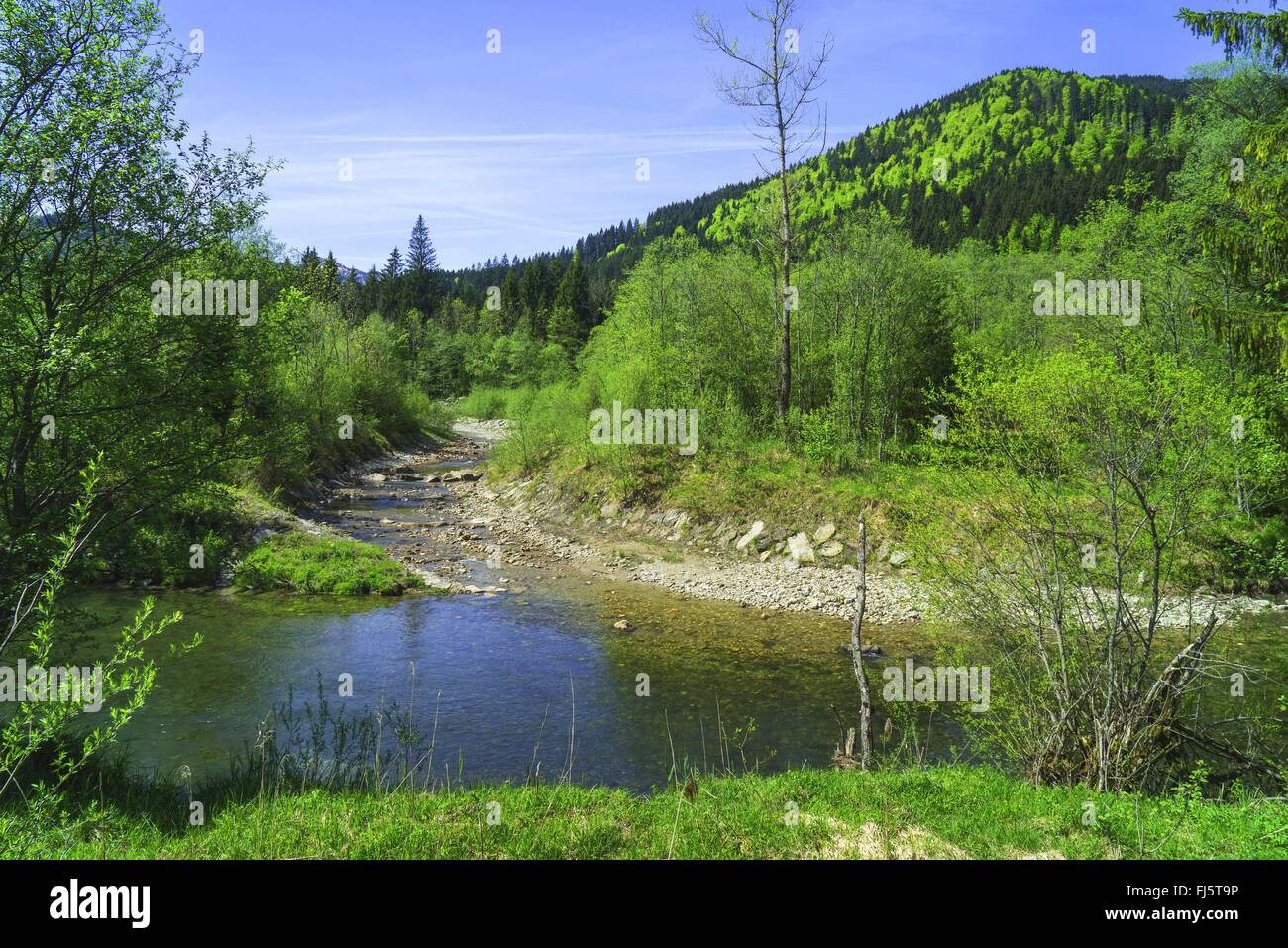 Ammer Fluß in der Nähe von Scherenau, Blick auf Hochschergen, Deutschland, Bayern, Oberbayern, Oberbayern Stockfoto