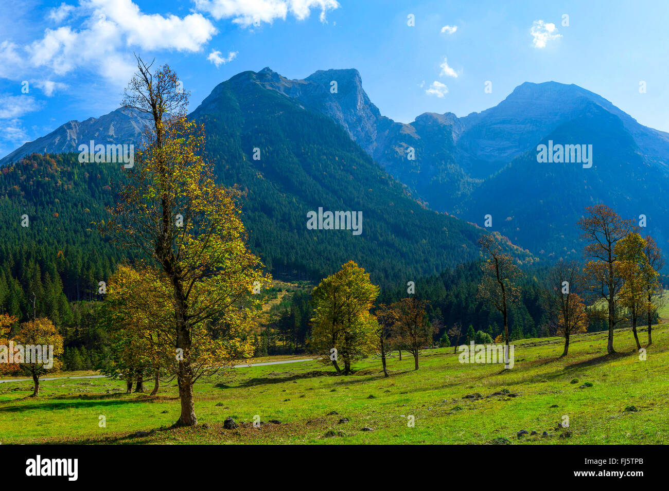 Grosser Ahornboden und Karwendel-Gebirge in Herbst, Österreich, Tirol Stockfoto