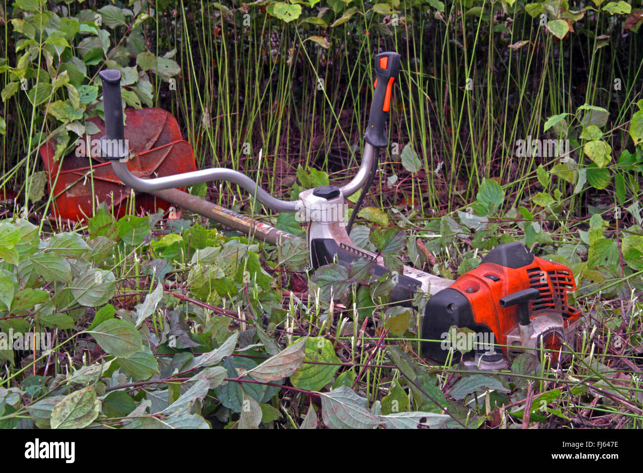 Motor Sense für Landschaftspflege, Deutschland Stockfoto