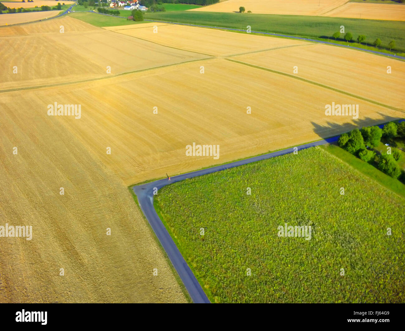 geerntet, Weizenfeld und Blumenwiese, Luftaufnahme, 23.07.2015, Luftaufnahme, Deutschland, Baden-Württemberg, Odenwald Stockfoto