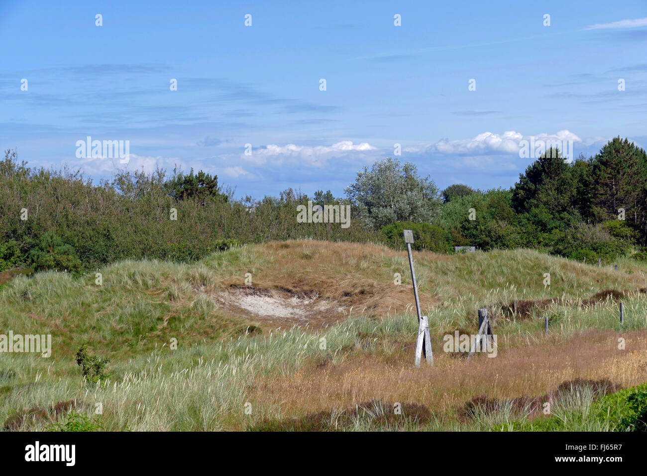 grasbewachsene Dünen hinter der Nordsee Deich, Deutschland, Schleswig-Holstein, Norden Frisia, Sankt Peter-Ording Stockfoto