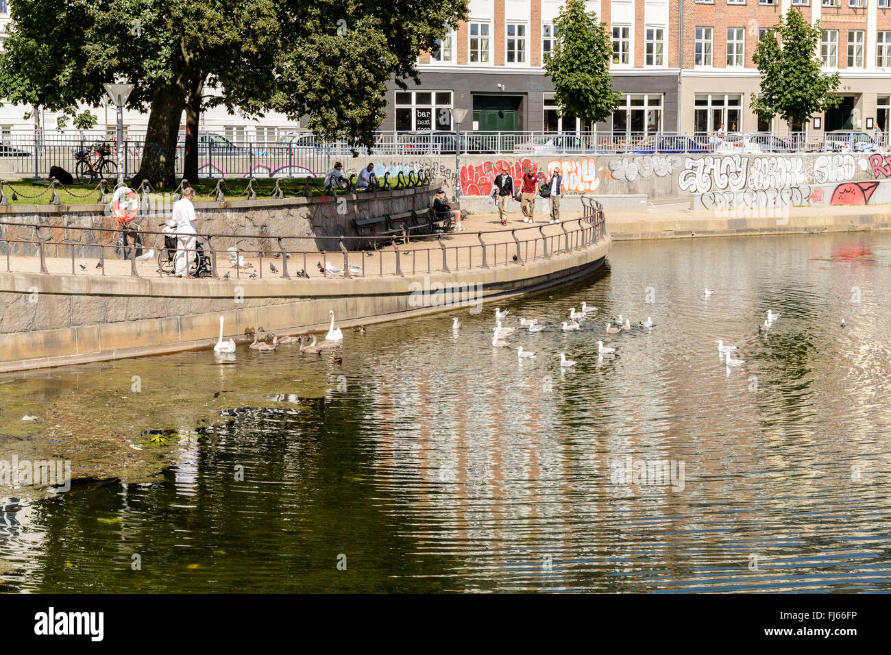 Die Seen in Copenaghen, Dänemark ist eine Reihe von 3 rechteckige Seen Kurven rund um den westlichen Rand der Stadt. Stockfoto