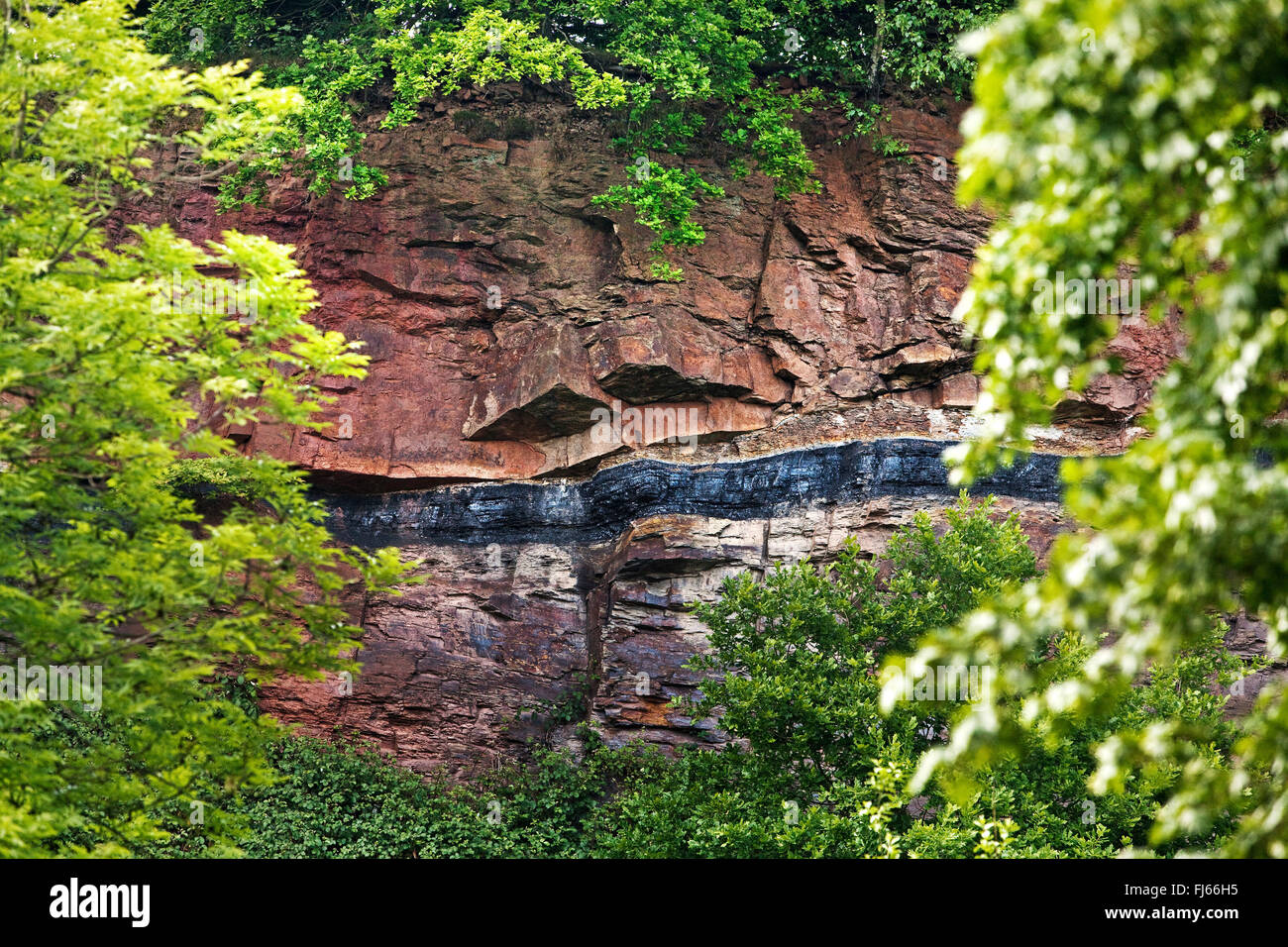 Felsvorsprung mit Kohleschicht, Witten, Ruhrgebiet, Nordrhein-Westfalen, Deutschland Stockfoto