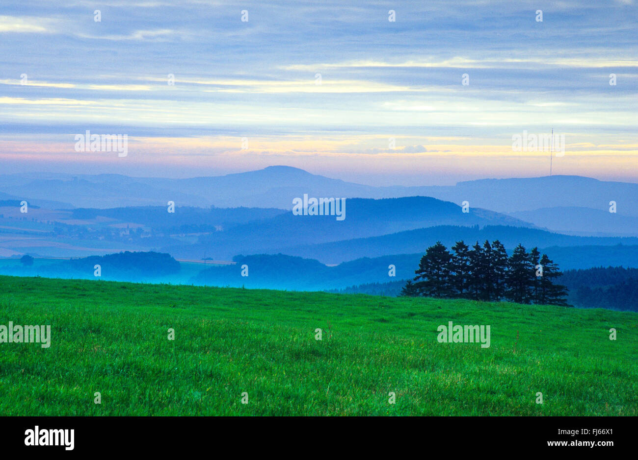 Bergwelt der hohen Eifel im frühen Morgenlicht, Deutschland, Rheinland-Pfalz, Hocheifel, Steffeln Stockfoto