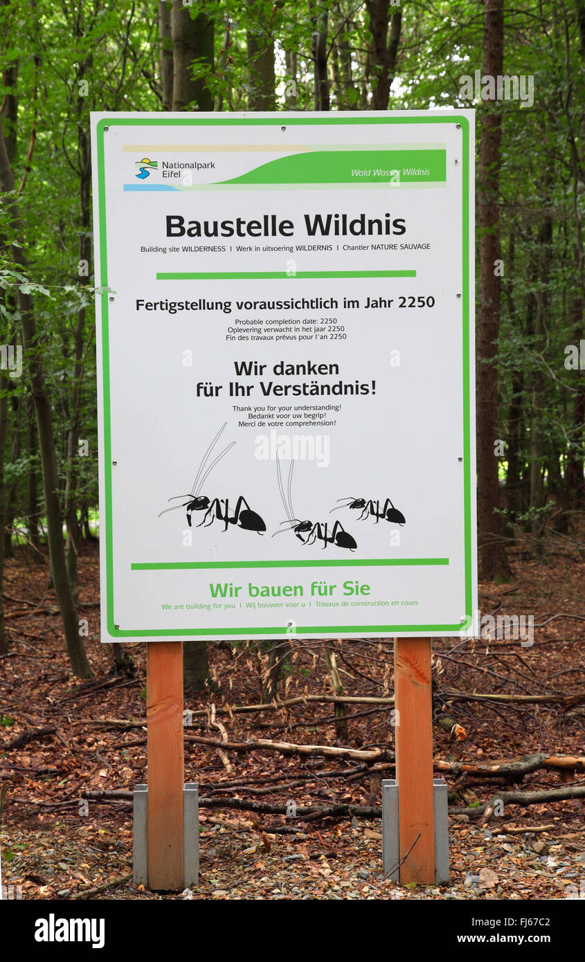 Wildnis-trail im Nationalpark Eifel, Deutschland, North Rhine-Westphalia, Nationalpark Eifel, Heimbach Stockfoto