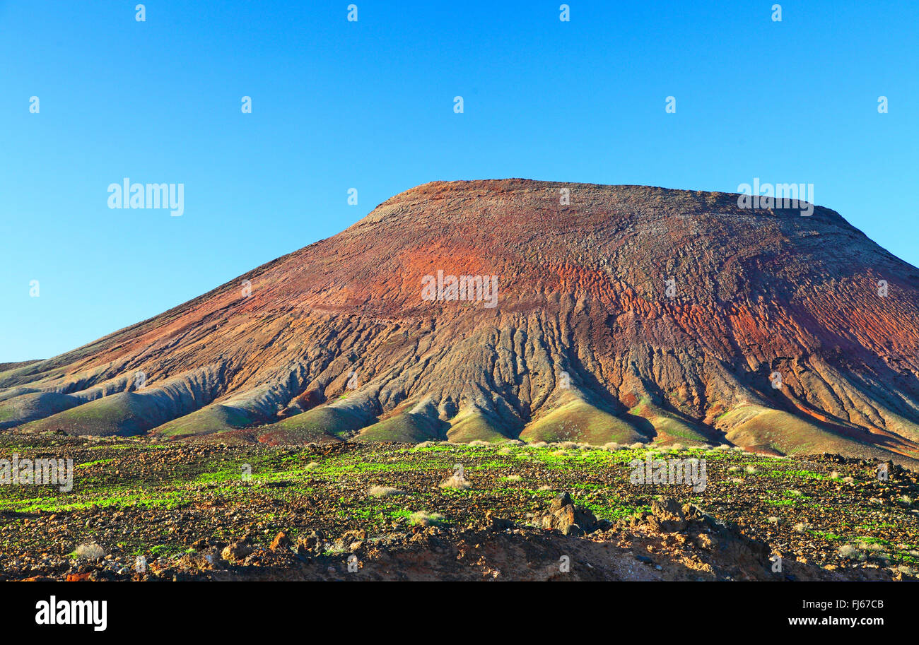 Berg Roja in der Nähe von Parque Holandes, Kanarischen Inseln, Fuerteventura Stockfoto
