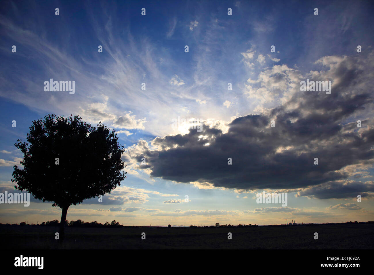 Feld-Landschaft und Sonne hinter Dunkelwolke, Deutschland Stockfoto