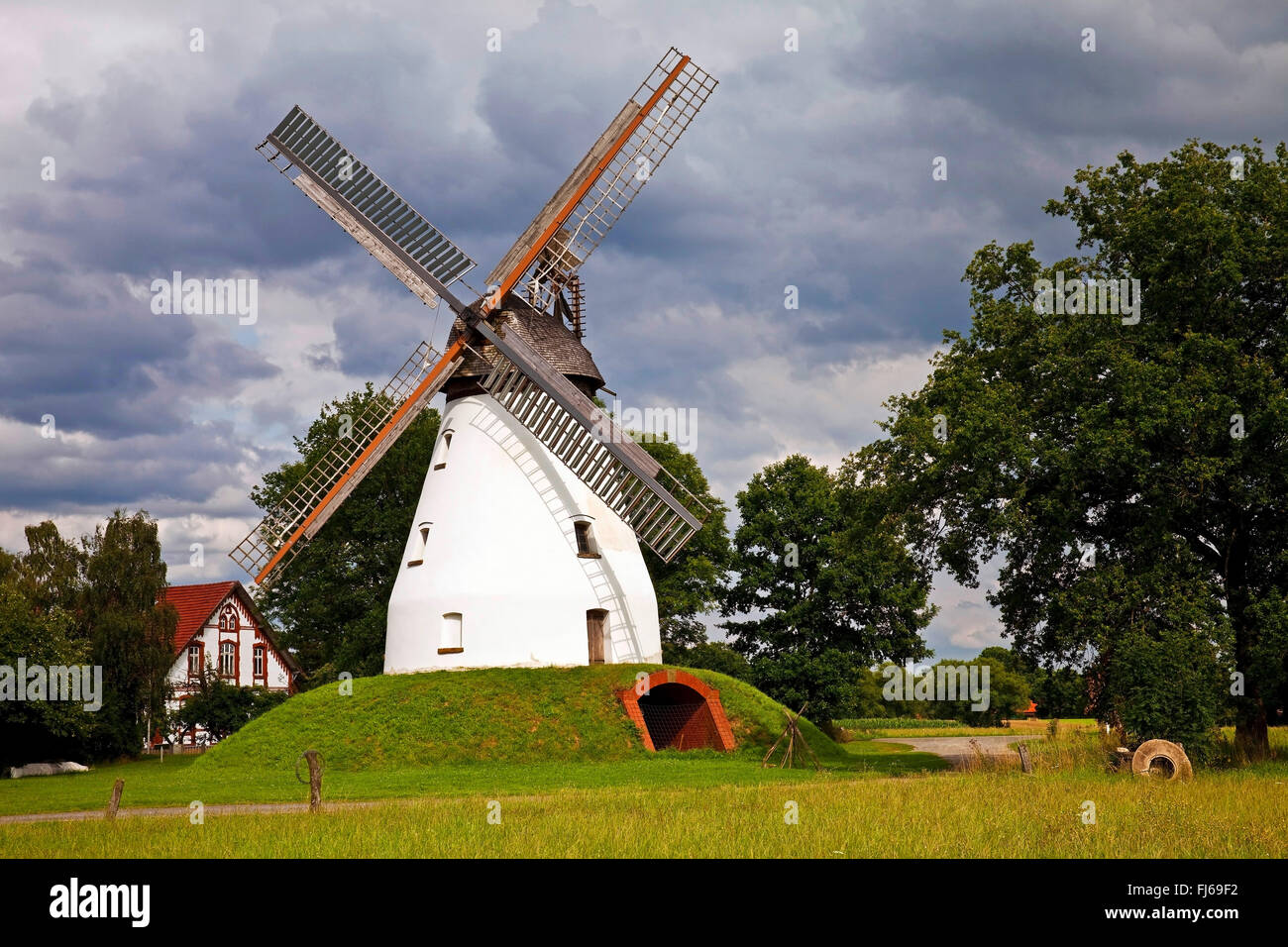 Windmühle Heimsen, Deutschland, Nordrhein-Westfalen, Ostwestfalen, Petershagen Stockfoto