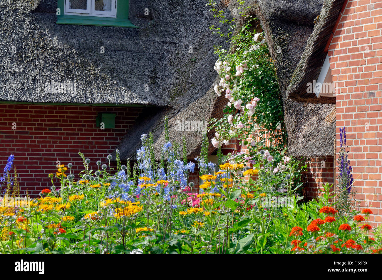 Strohdach Haus Mit Bunt Bluhenden Garten Deutschland Schleswig Holstein Norden Frisia Sankt Peter Ording Stockfotografie Alamy