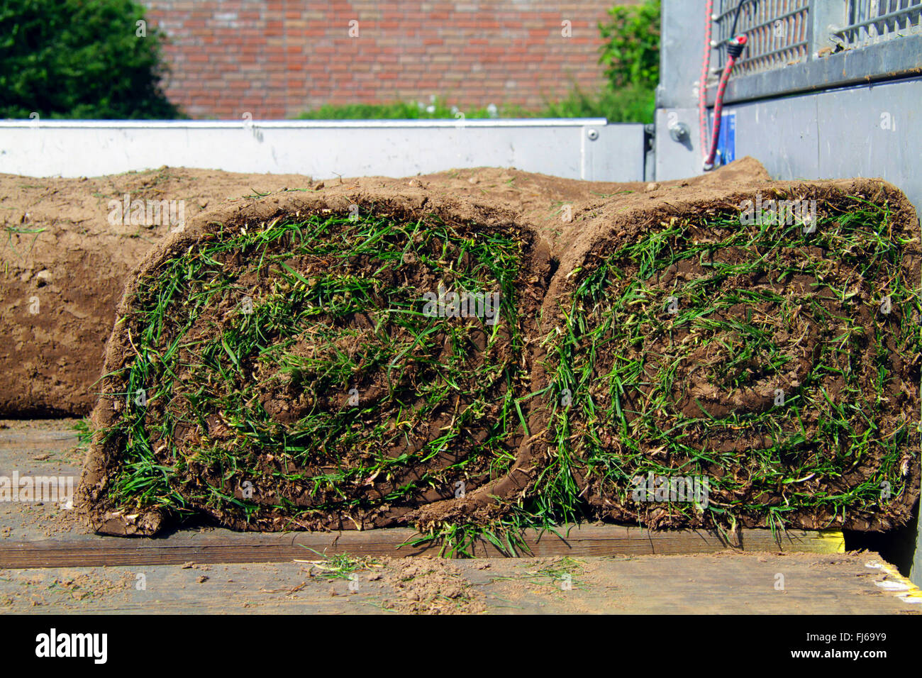 rollte Sod auf Ladefläche, Deutschland Stockfoto