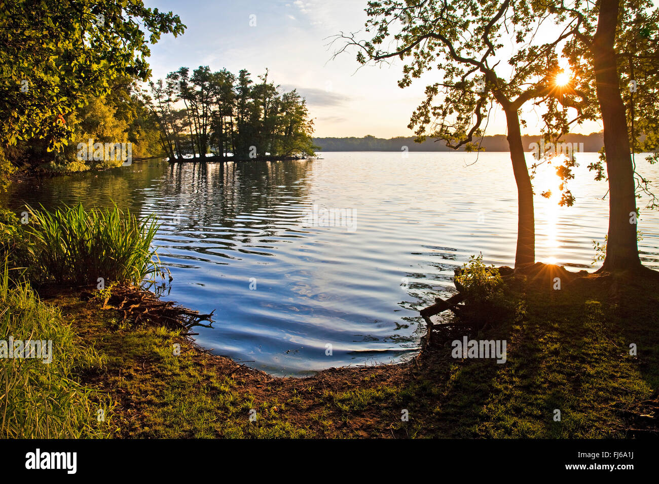 Glabbacher Bruch, Krickenbeck Seen bei Sonnenaufgang, Nettetal, Niederrhein, Nordrhein-Westfalen, Deutschland Stockfoto