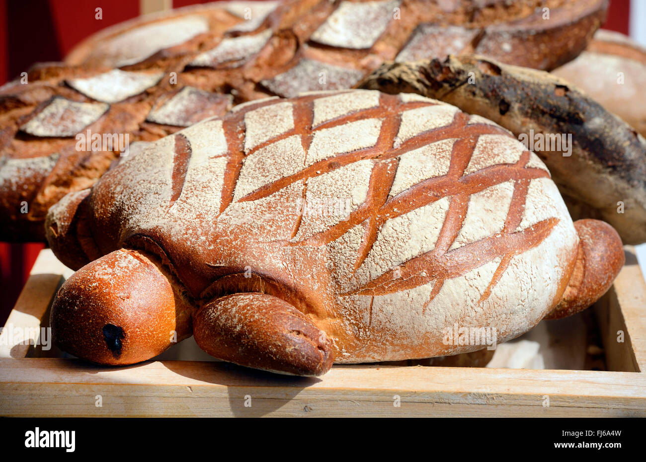 Brot in Form einer Schildkröte Soorts-Hossegor, Frankreich, Aquitanien Stockfoto