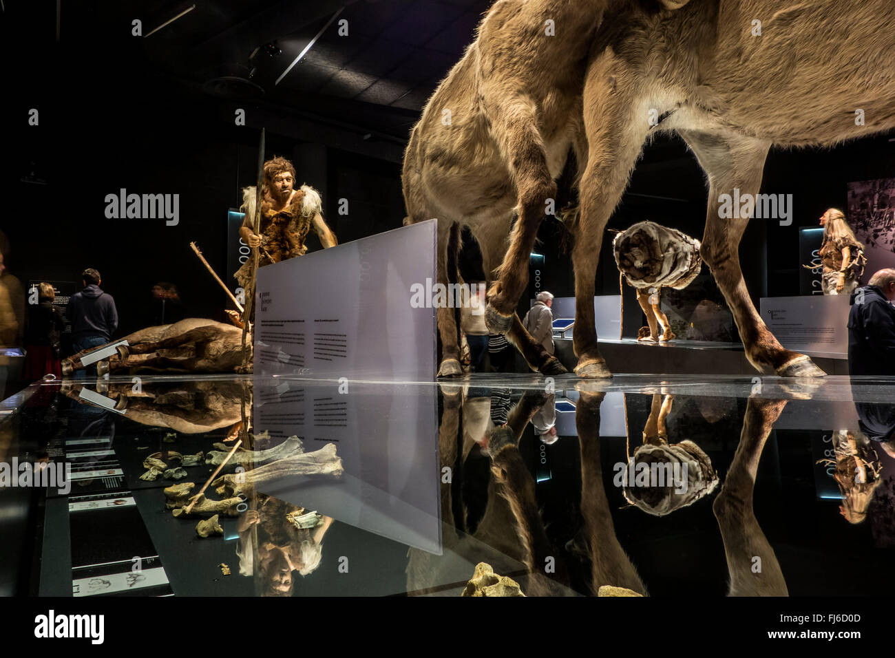 Besucher betrachten Neandertaler und Cro Magnon Ausstellung in der Gallo-Romeins / Gallo-römische Museum, Tongeren, Belgien Stockfoto