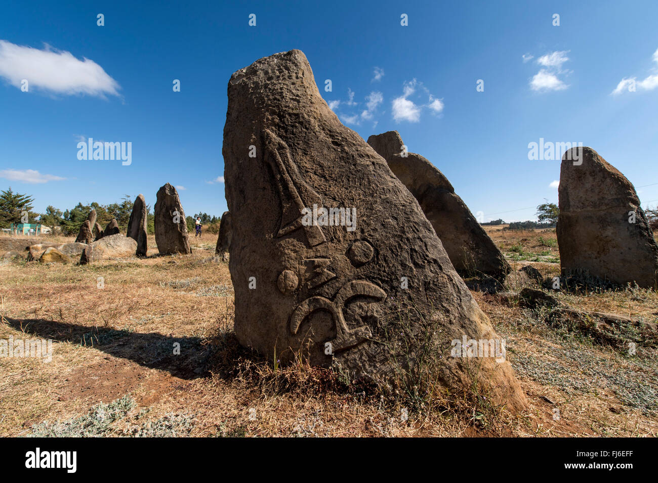 Geschnitzte Stelen (Grabstätten) Tiya Äthiopien, Afrika Stockfoto