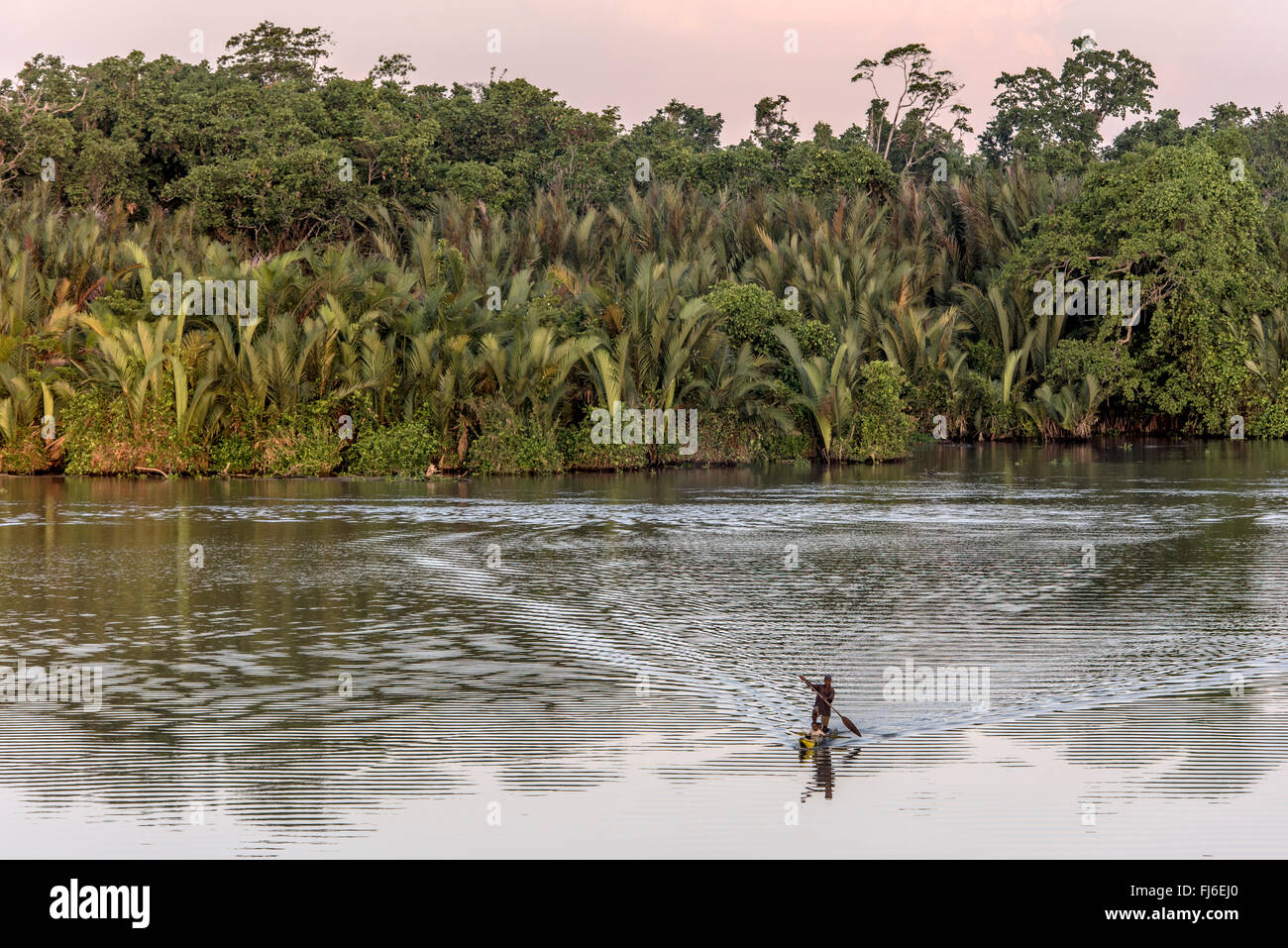 Mann auf paddeln Kanu Sepik River, Papua New Guinea Stockfoto